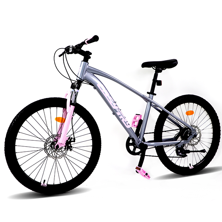 Factory Cycling in China Sell  - Mountain Biking Usa review and price