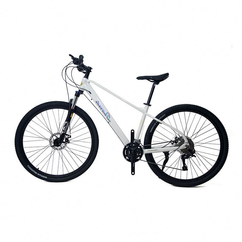 29 inch Aluminum Alloy Mountai - Mountain Biking Usa review and price