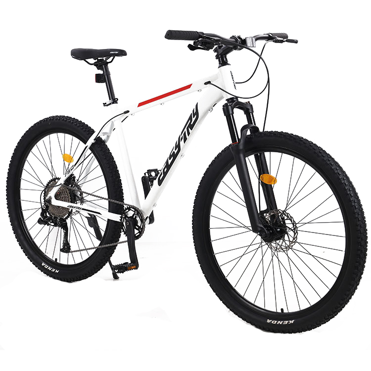 Wholesale 21 Speed Bicicletas  - Mountain Biking Usa review and price